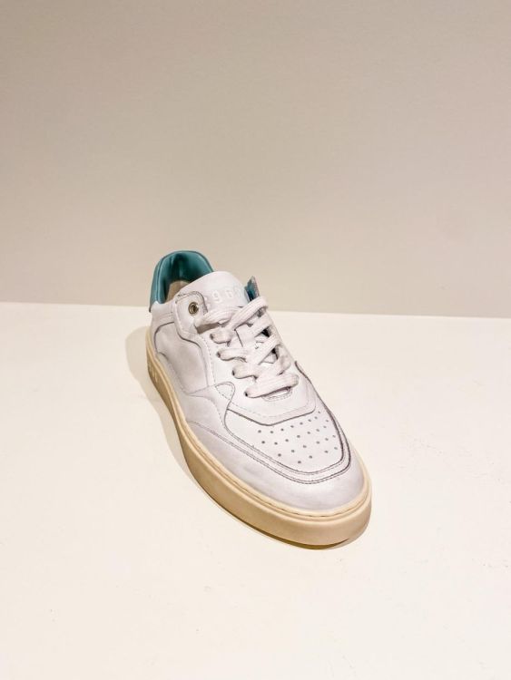C968 Sneaker Low  (KATE DAYTONA WHITE) - UNO Knokke
