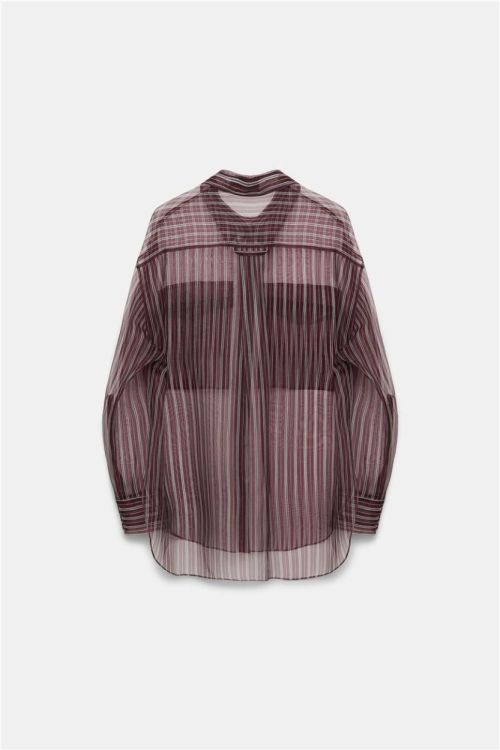 Dorothee Schumacher Blouse Organza Stripe (749006-041) - UNO Knokke