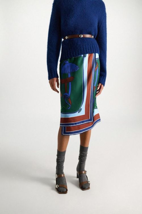 Dorothee Schumacher Skirt Wild Funghi (647305-016) - UNO Knokke