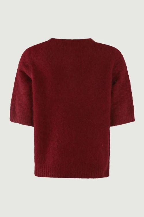 SIX AMES Pull Structure Raccoon (ODEA-C3625) - UNO Knokke